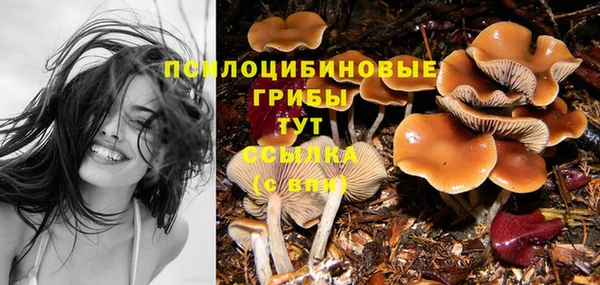 кокс Лабытнанги